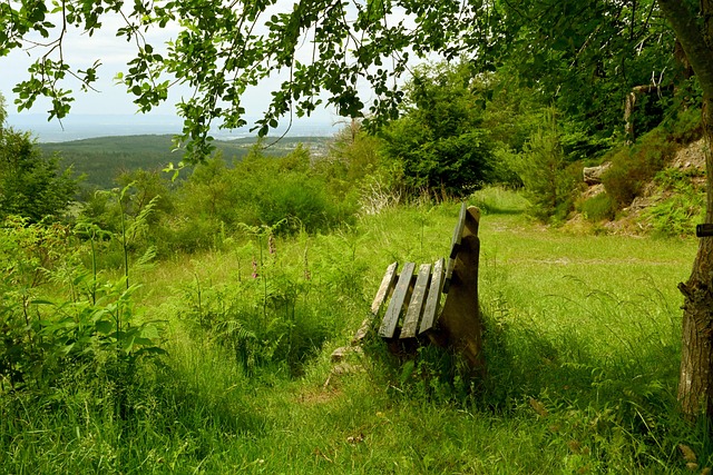 他们的弱点 他们的弱点