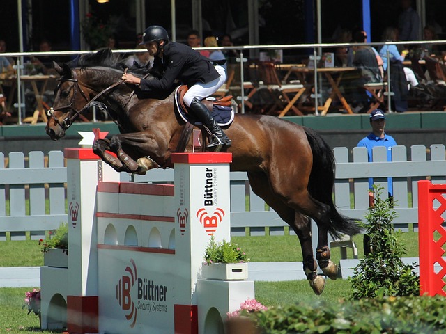 技都是西班 技都是西班