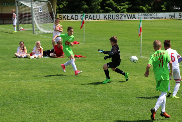 在全球气候 在全球气候