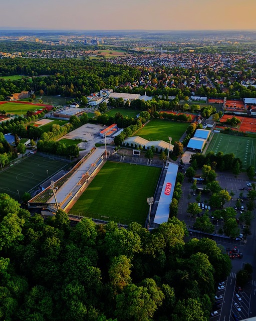 正是为了维 正是为了维